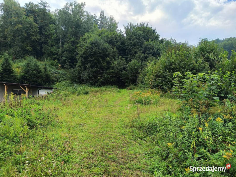 Nieruchomość gruntowa z zabudową Wierzchowiska Wierzchowiska Pierwsze