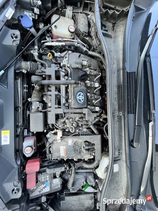 Toyota CHR HYBRID Wielgie