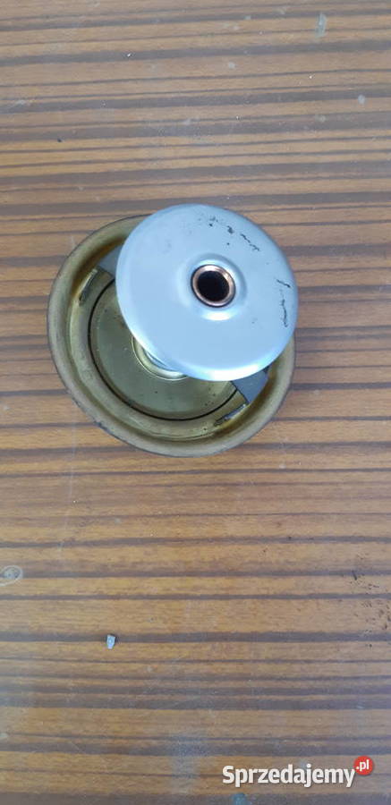 Termostat Tv 20 74 stopnie F8 MFRA termostaty Koronowo sprzedam