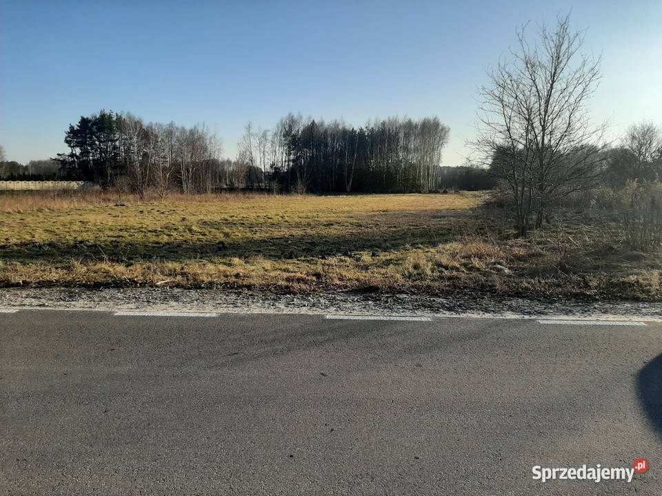 Duża działka z warunkami zabudowy Bełchatów sprzedam