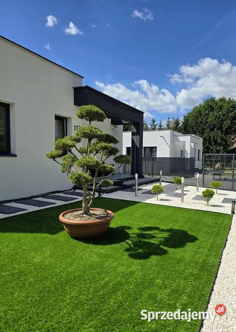 Sprzedam Dom pustak Sprzedaż sprzedam