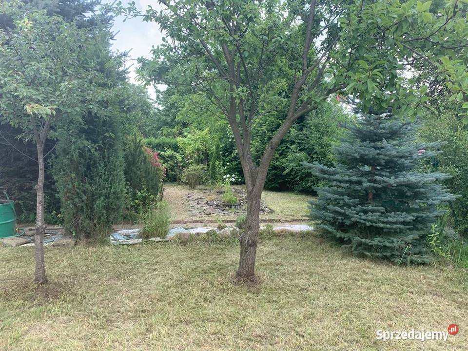 Ogródek działkowy ROD Miejski w Czeladzi śląskie Czeladź