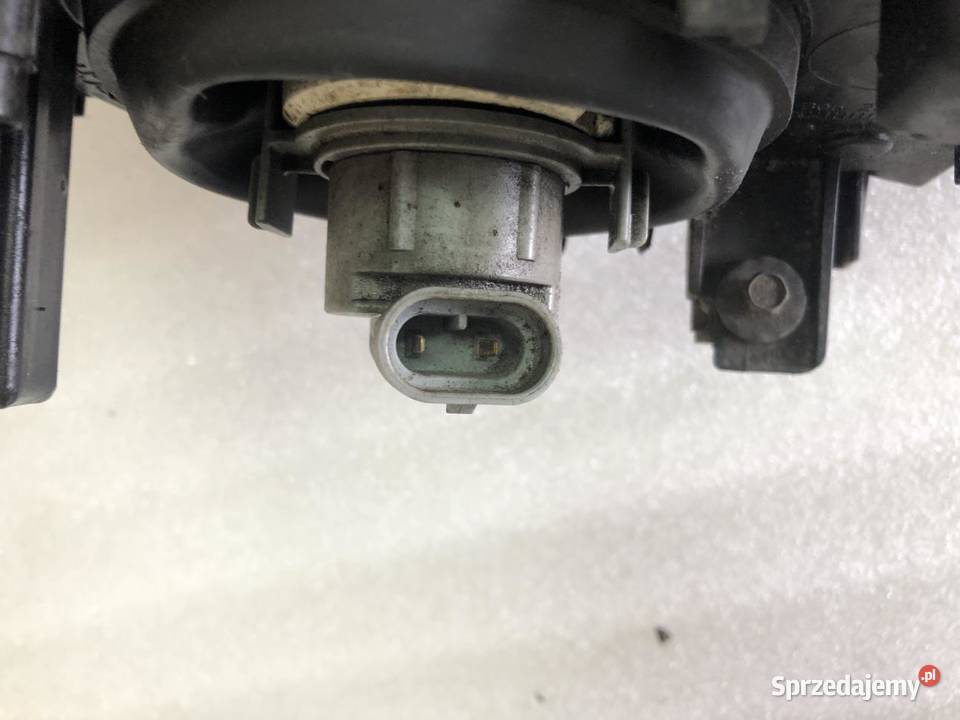 LAMPA LEWY PRZÓD 6902745 BMW E46 EUROPA Lampy przeciwmgielne