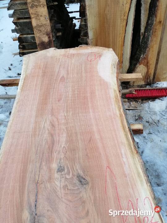 Monolit dąb 150 x75 x6 Przysucha