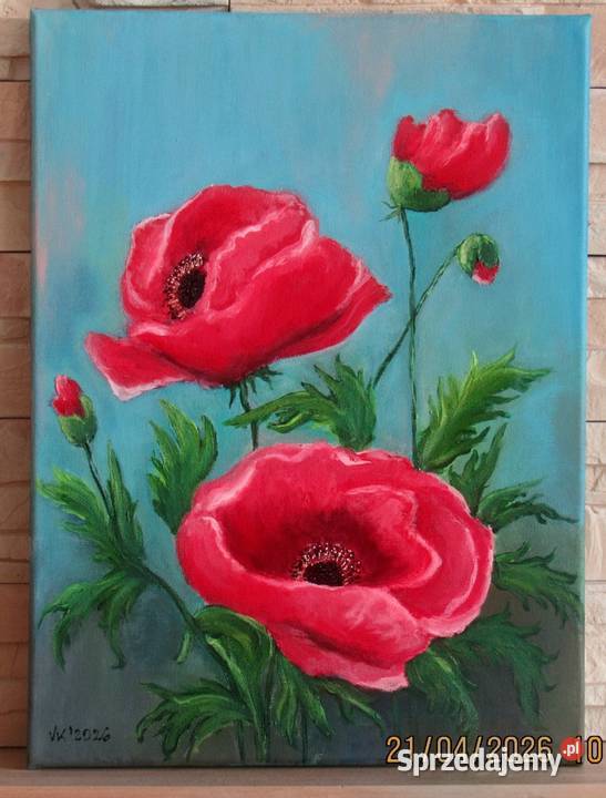 Maki polne Bychawka Trzecia