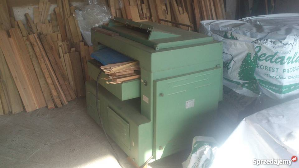 grubościówka Pozostałe Kielce