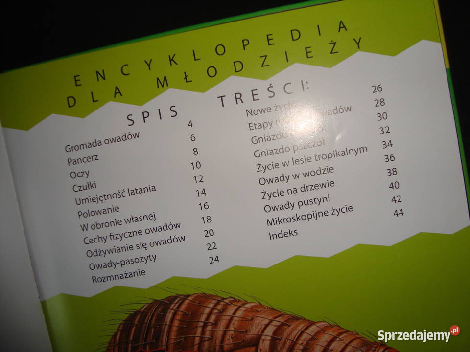 Natura Świat Owadów album z fotoopisem Tychy