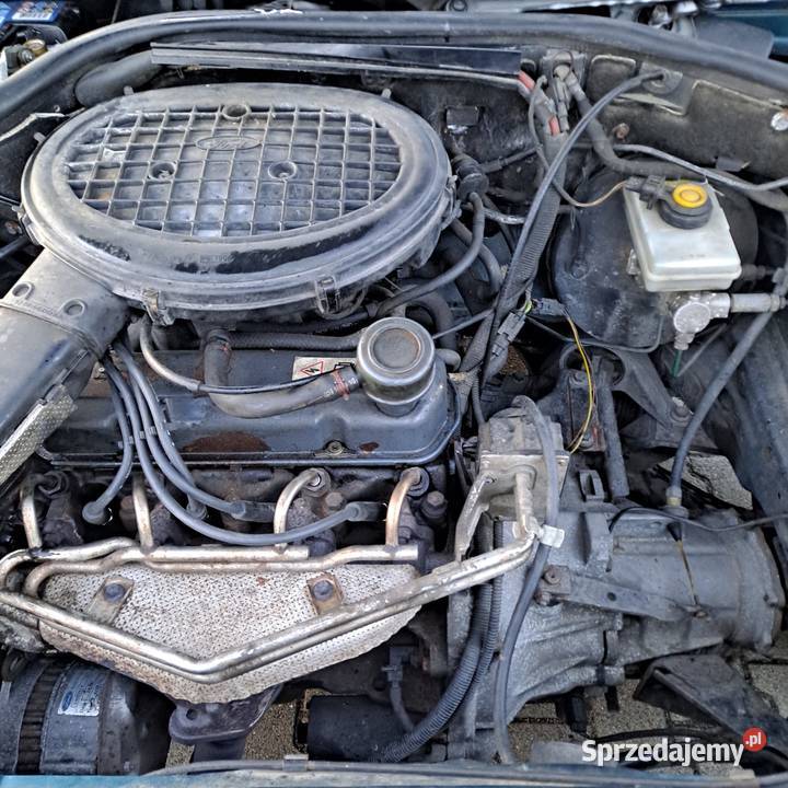 Ford Escort nieuszkodzony Gliwice