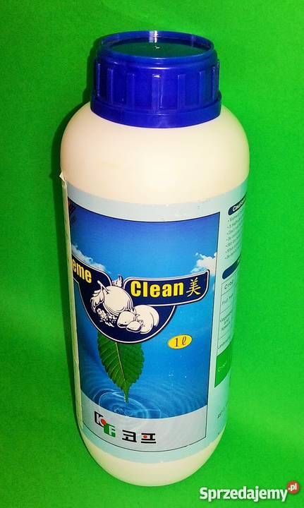 CREME CLEAN ADIUWANT łódzkie