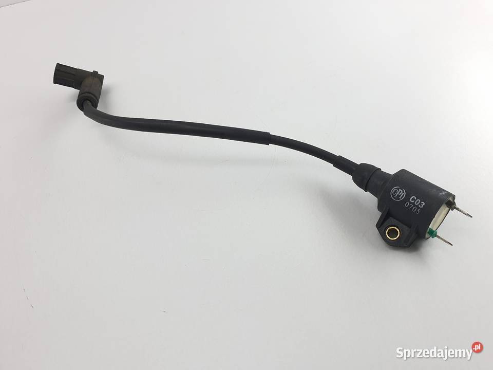 Cewka Zaplonowa Fajka Cpi Aragon Łódź sprzedam