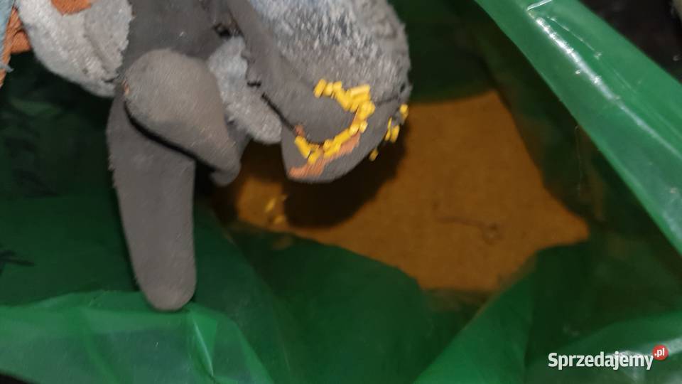 Plastikowe małe rurki cząstki polietylen worek mazowieckie Warszawa