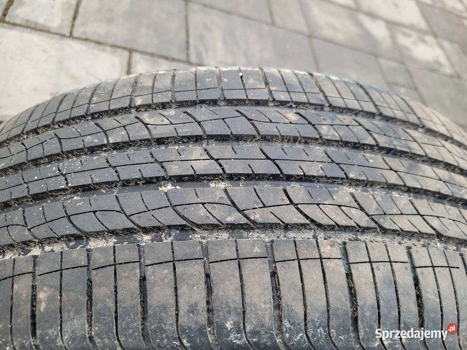 Opony letnie 23555R19 101V Legnica