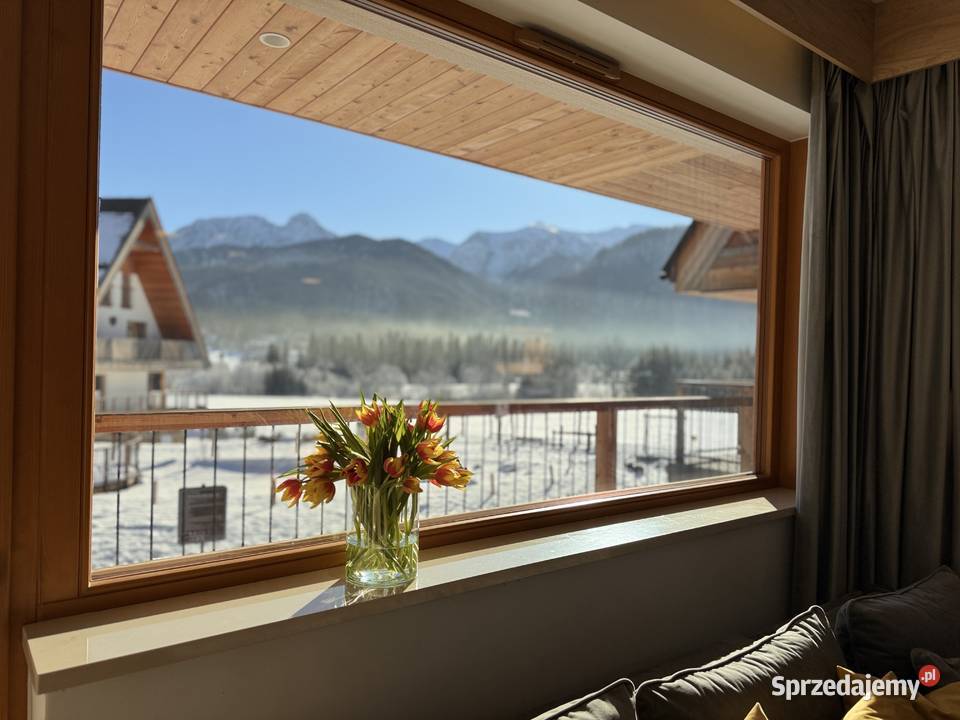 Kompleks 4 widokowych apartamentów 23VAT Domy małopolskie Kościelisko