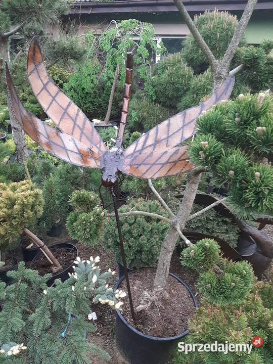 Ważka metalowa około 90 dekoracje ogrodowe pomorskie Lębork sprzedam