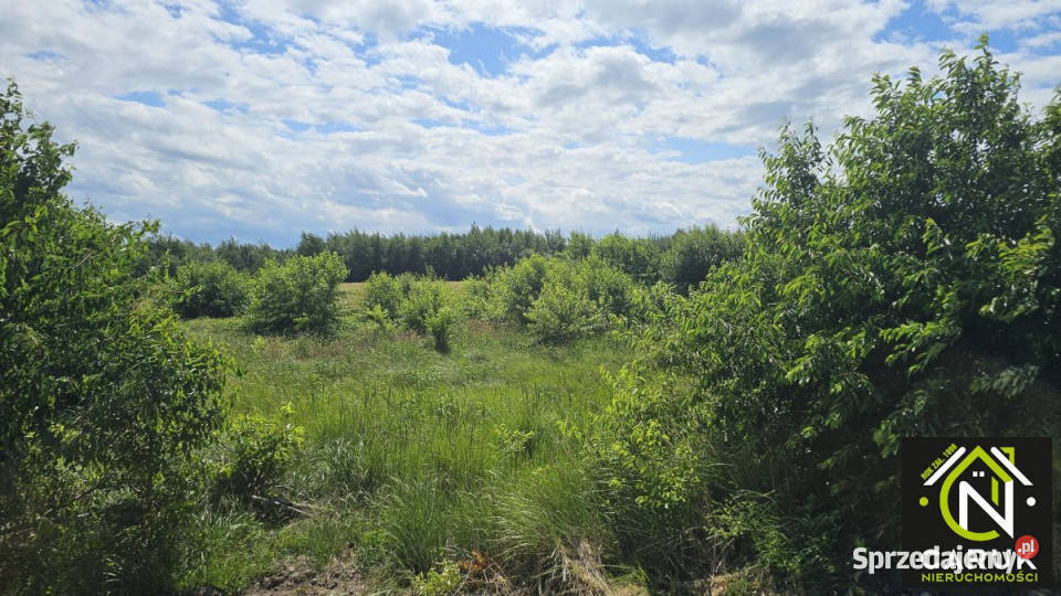 Działka 9800m2 Laska Sprzedaż zachodniopomorskie