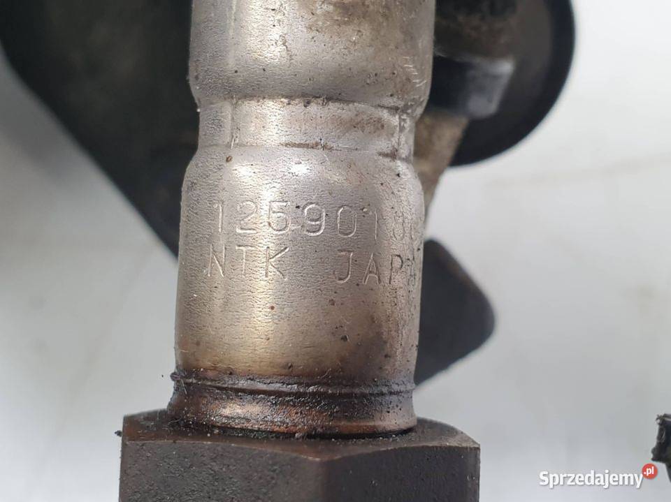 SONDA FORD TRANSIT MK8 1259018010 osobowe Pozostałe Pozostałe kujawsko-pomorskie