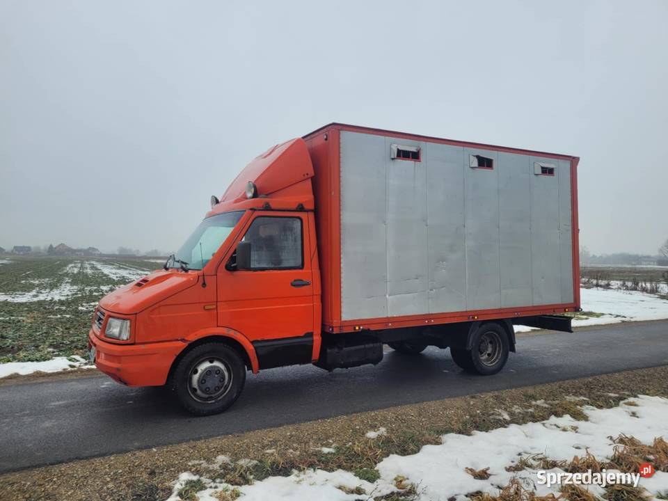 Iveco Daily 3510 1996r Koniowóz Do przewozu 303500km Iveco Mielec