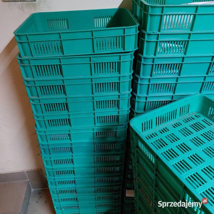 Skrzynka na warzywa i owoce zielona Biznes i Przemysł Limanowa sprzedam