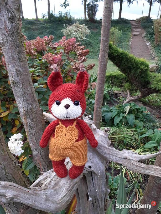 Wiewiórka na szydełku kujawsko-pomorskie