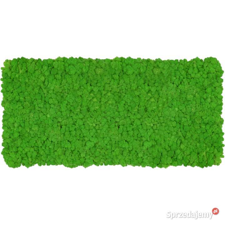 Panel z chrobotka PREMIUM Apple Green na wymiar Czarków