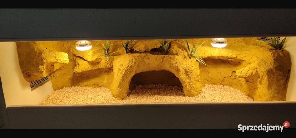 Terrarium specjalistyczne gekona lamparciego Pabianice