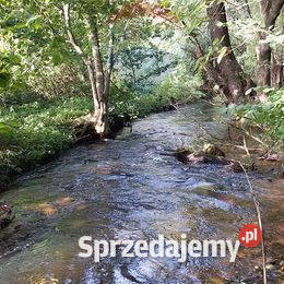 Działka inwestycyjna ze starym młynem Kęty