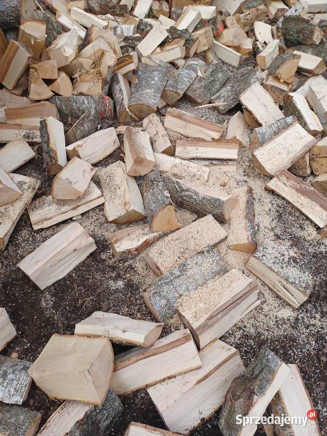 Drewno opałowe drzewo dąb brzoza sosna opał Opał mazowieckie Chorzele