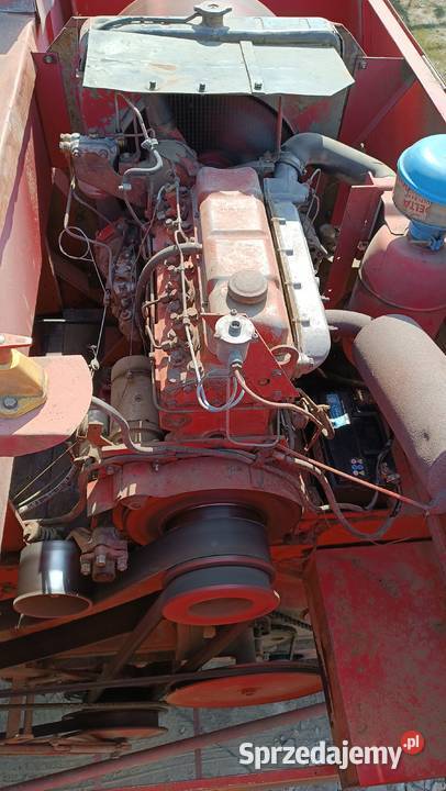 Massey Ferguson MF 176187 sprzedam