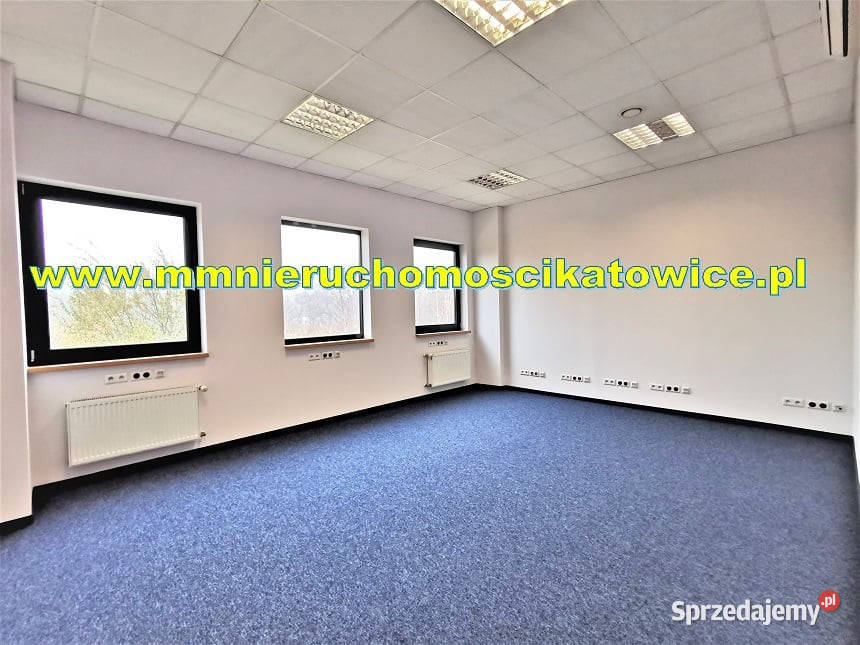 Magazyny do wynajęcia 200 10000 m2 Będzin wysoki
