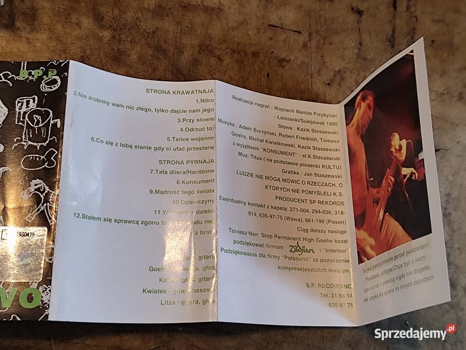 kaseta Kazik Na żywo zachodniopomorskie Stargard