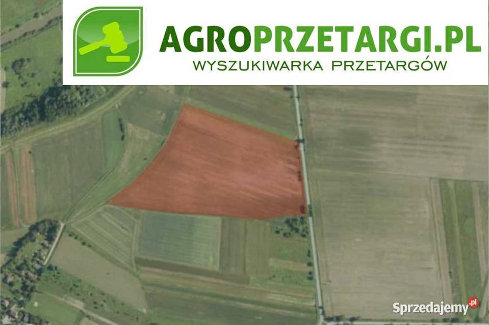 Dzierżawa 1489 ha gruntu rolnego małopolskie Bochnia