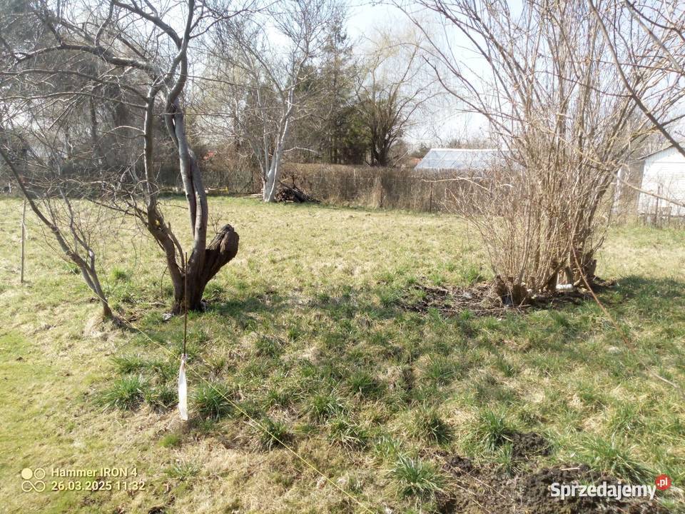 Działka ROD Słonecznik woda prąd i zielona Lublin