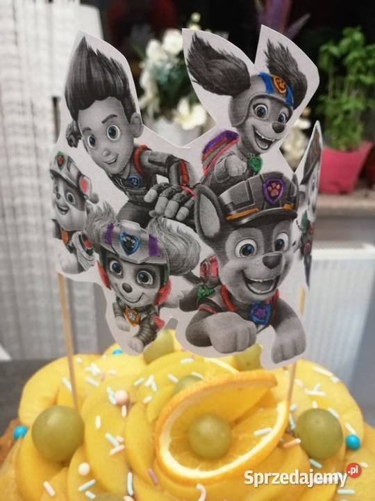 Torty Domowe Owocowe bezglutenowe i bezmleczne Wrocław