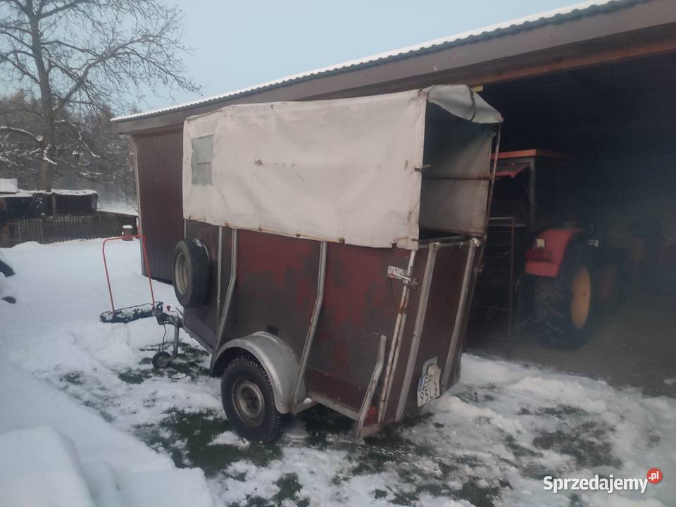 Przyczepa na konie WERTMANN Jaksonek