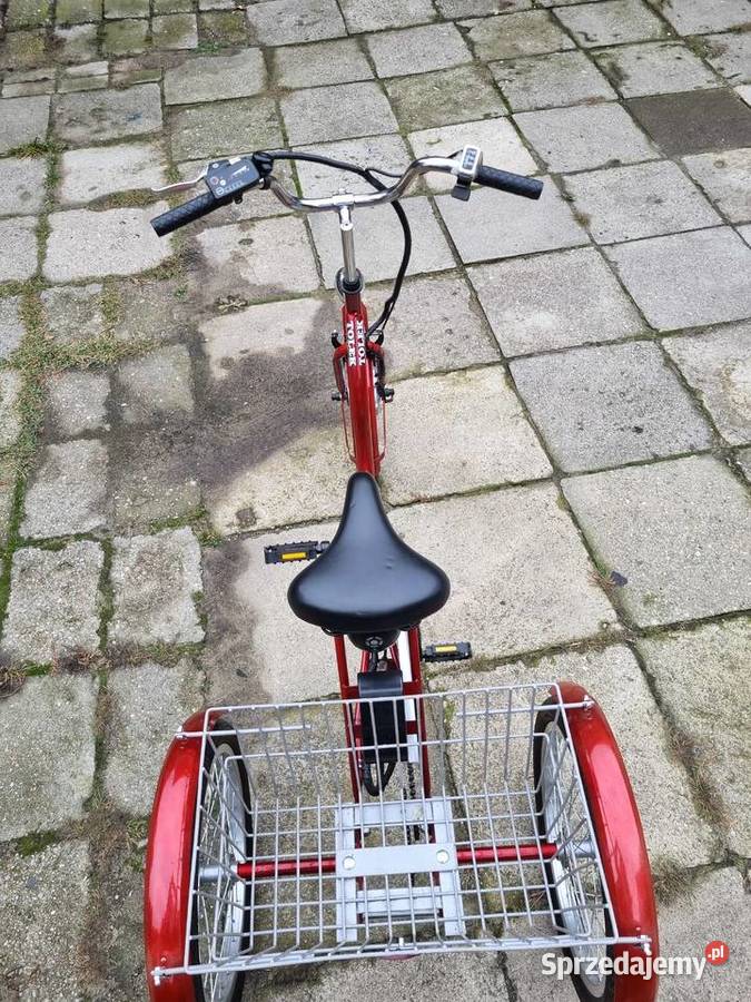 Rower tolek 3 kołowy rechabilitacyjny Pozostałe sprzedam