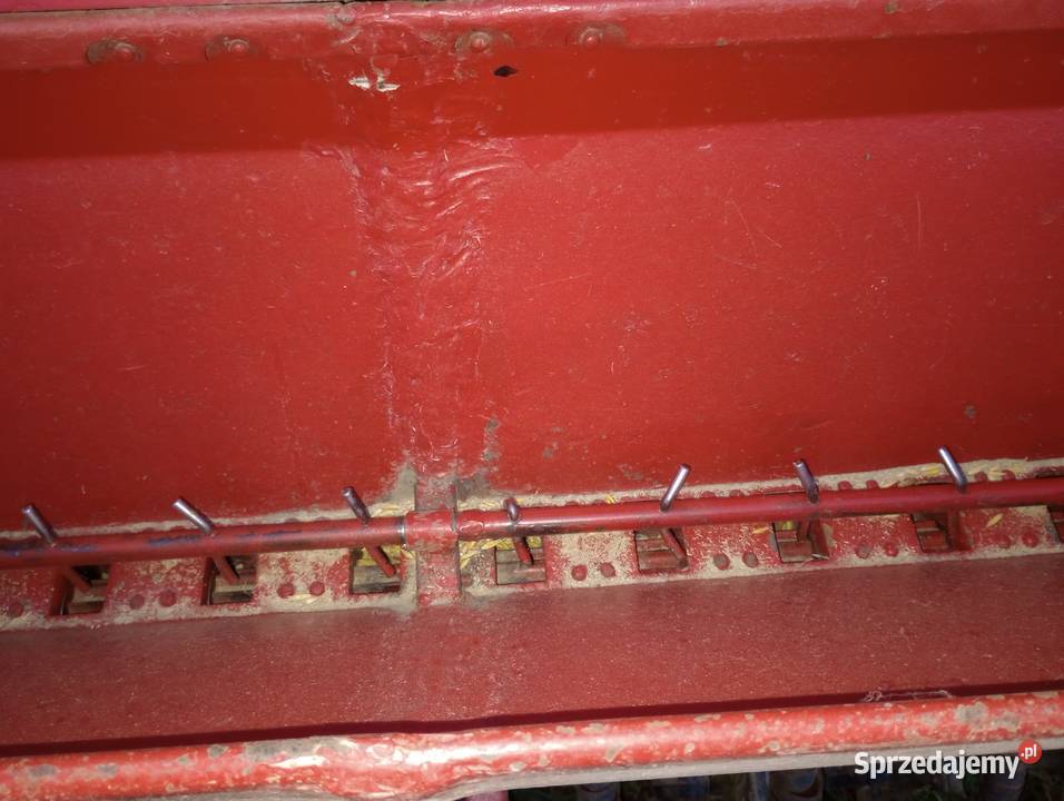 Siewnik świętokrzyskie Pawłów