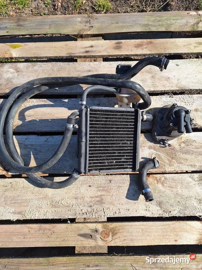 Aprilia SR 50 układ chłodzenia Pozostałe małopolskie Tarnów