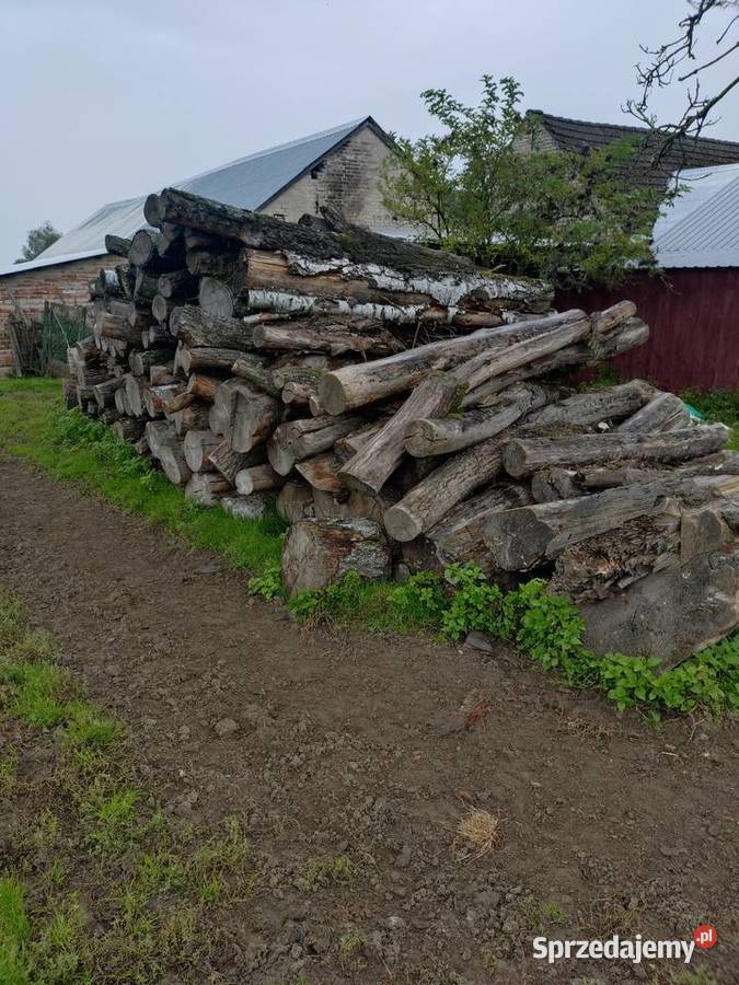 Sprzedam Drzewo drewno dąb Bobolice