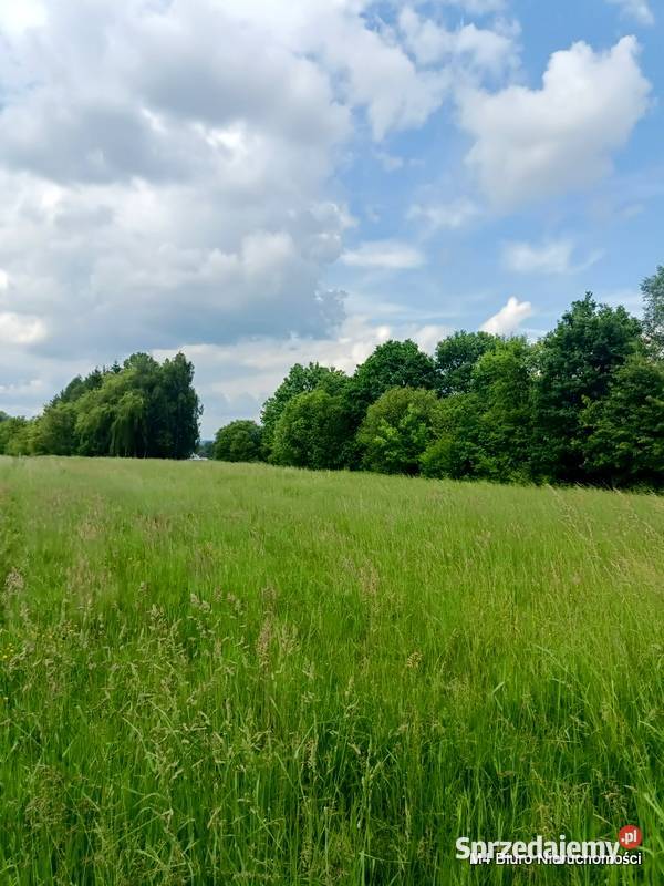 ŁADNA DZIAŁKA W ŚWIERZOWEJ POLSKIEJ 24 AR Krosno sprzedam