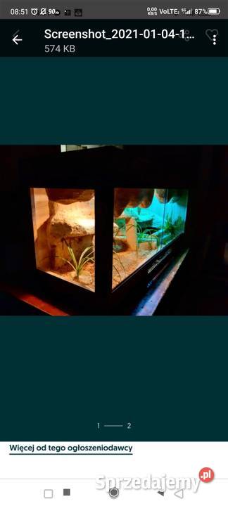 Okazja terrarium agamy gekona żółwia węża