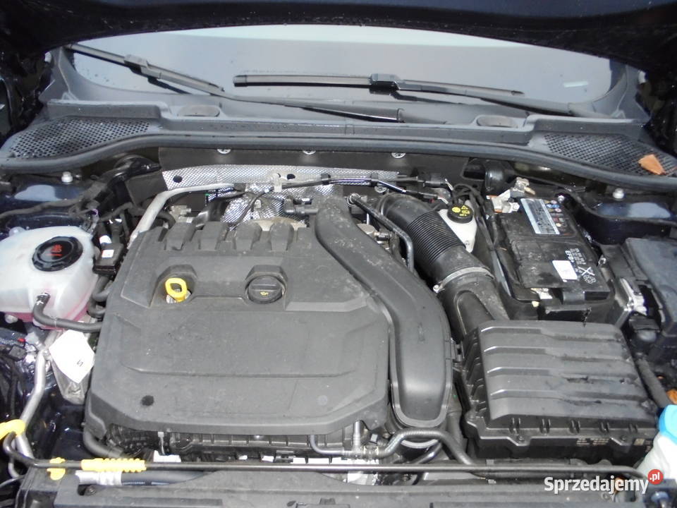 Cupra Formentor 15 TSI DSG Tribe Edition Bydgoszcz sprzedam