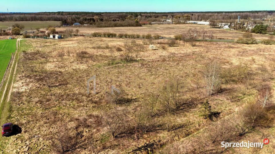 Działki inwestycyjne pod Goleniowem Żółwia Błoć sprzedam