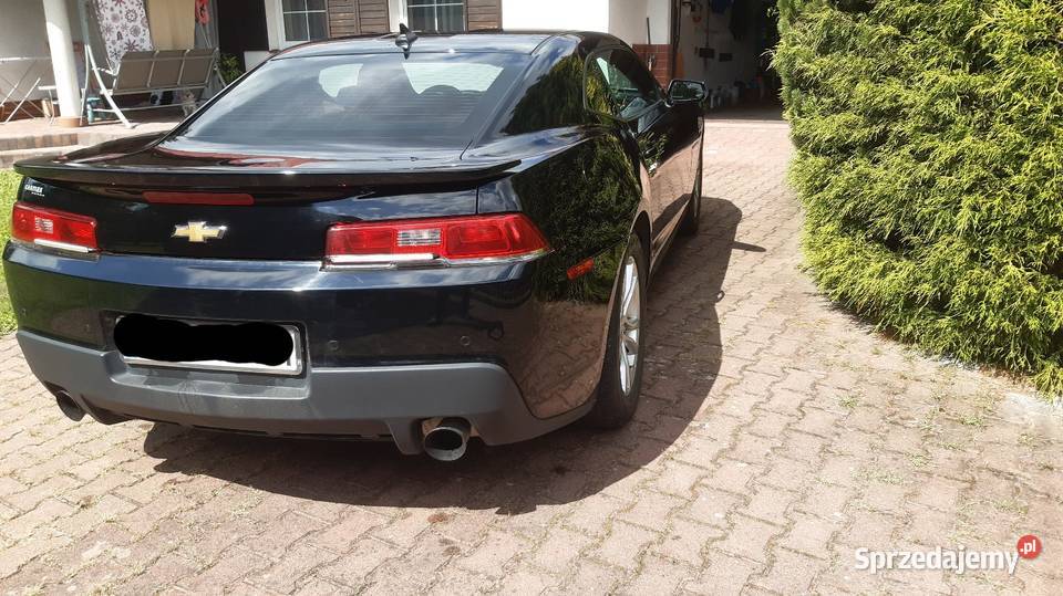 Sprzedam zamienię Camaro 2014 Rok produkcji 2014 Brzesko