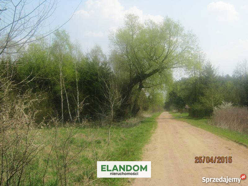 Sprzedam działkę rolną 24600m2 Władzin Grunty i działki