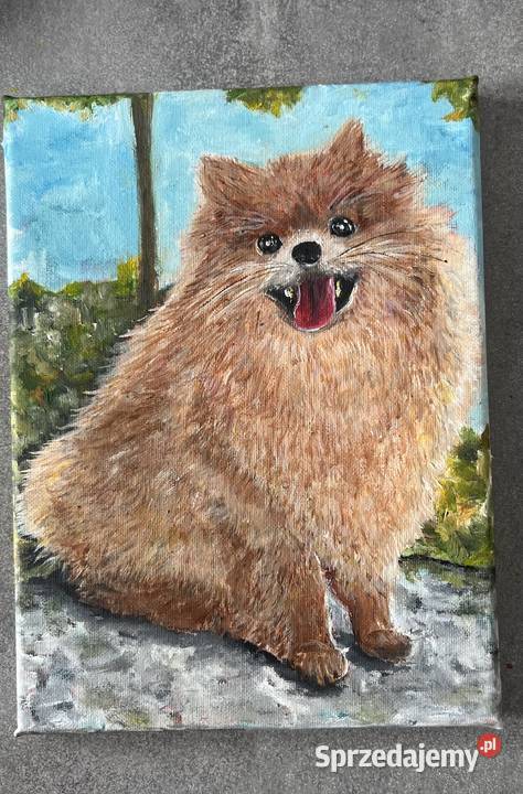 Obrazek olejny na płótnie 18x24 Piesek beżowy lubuskie Świebodzin