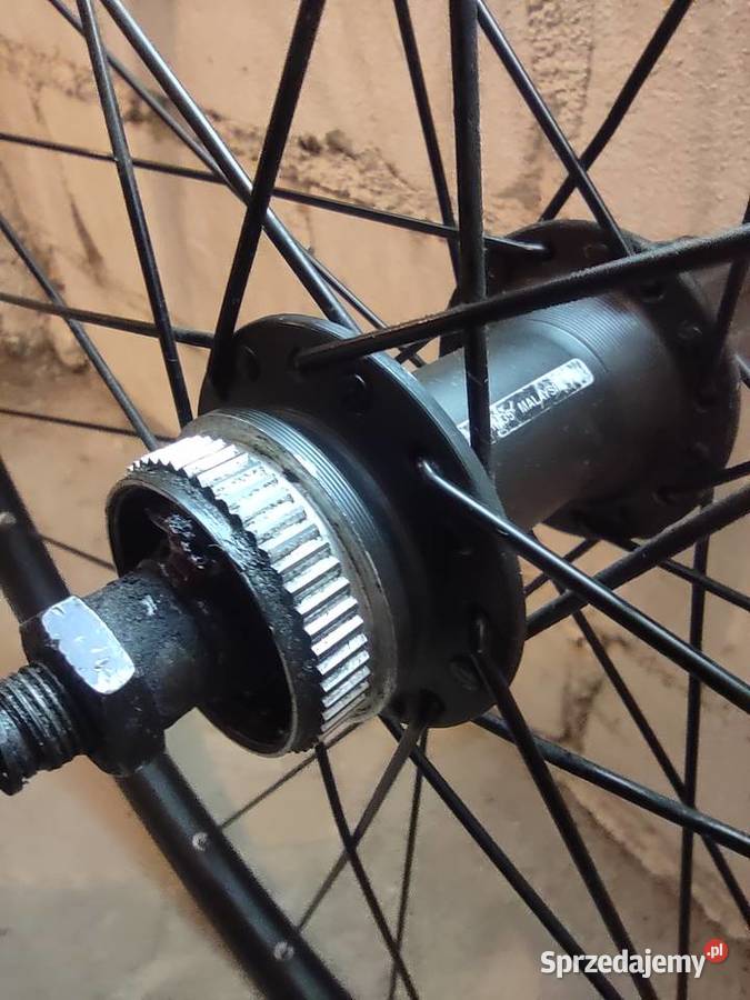 Koło Stars Circle Swift Arriv 29 piasta SHIMANO Słupsk