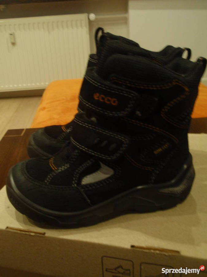 ecco xpedition kids