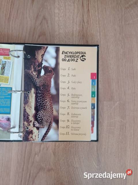 Encyklopedia zwierząt A do Z w segregatorze Chorzów