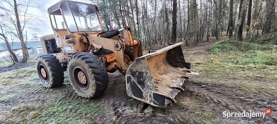 Ładowarka kołowa hanomag Chełst sprzedam