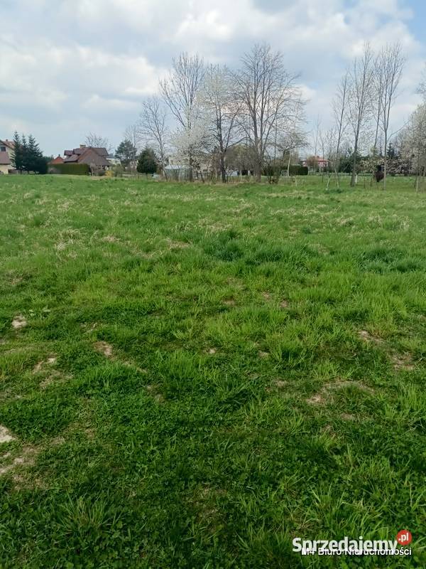 DWIE SŁONECZNE DZIAŁKI W PUSTYNACH podkarpackie Krosno